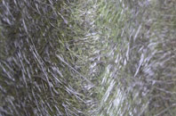 Ashlett fibreglass roof work